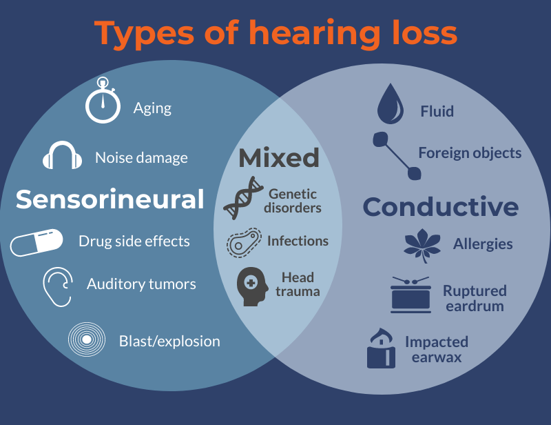 Hearing Loss in Adults
