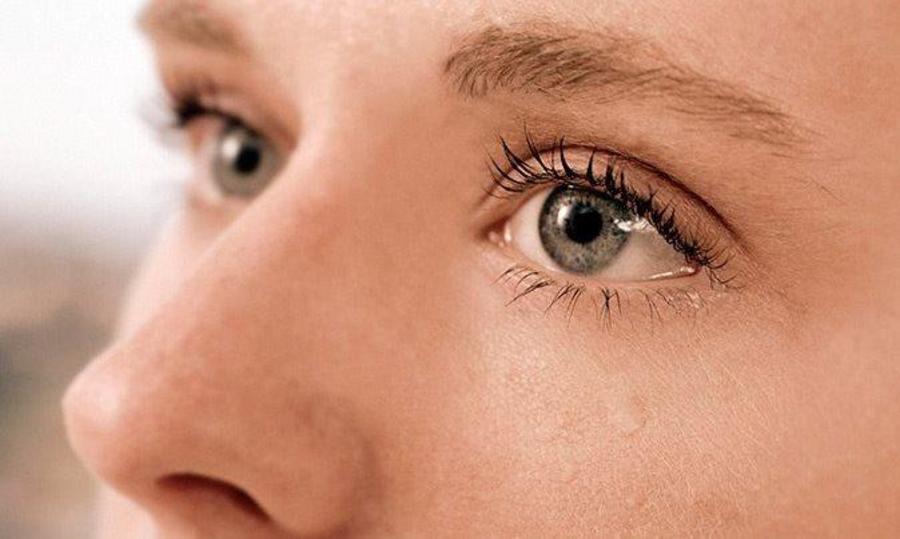 Innovative AI Methods for Eye Disease Detection
