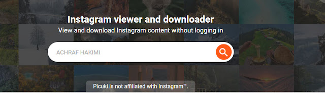 Picuki Instagram Viewer : The new instagram challenger